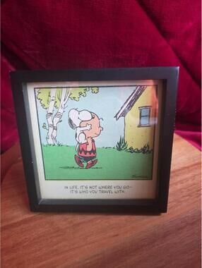 Peanuts Charlie Brown & Snoopy Framed Comic Hallmark Exclusive 2011